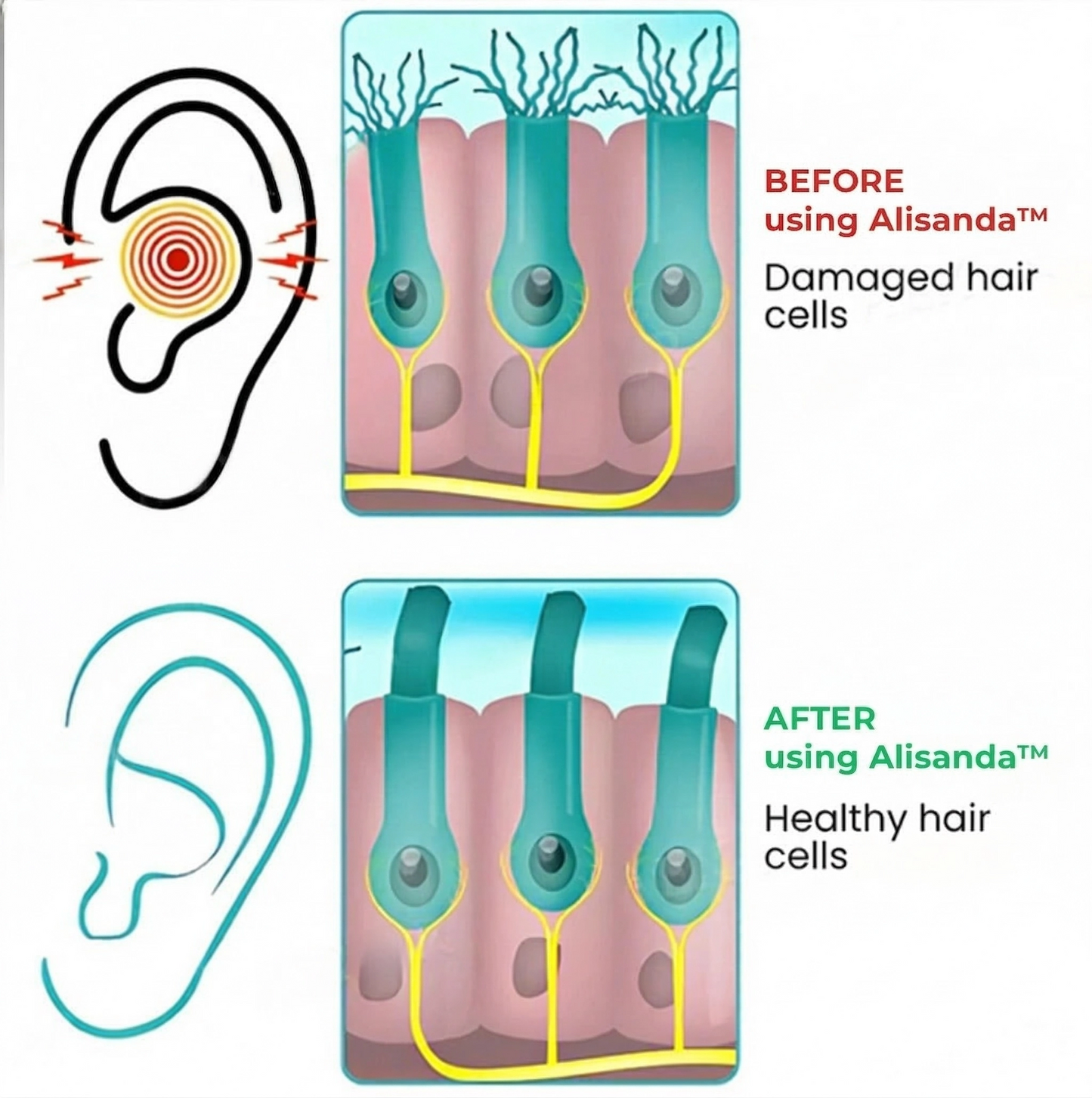 TinniVexa™ Tinnitus Relief Gerät – NeuroPulse-Technologie für schnelle, medikamentenfreie Linderung