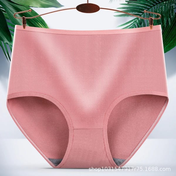 🎁 50% Rabatt🎁✨Saugfähige Damenhöschen mit hoher Taille✨