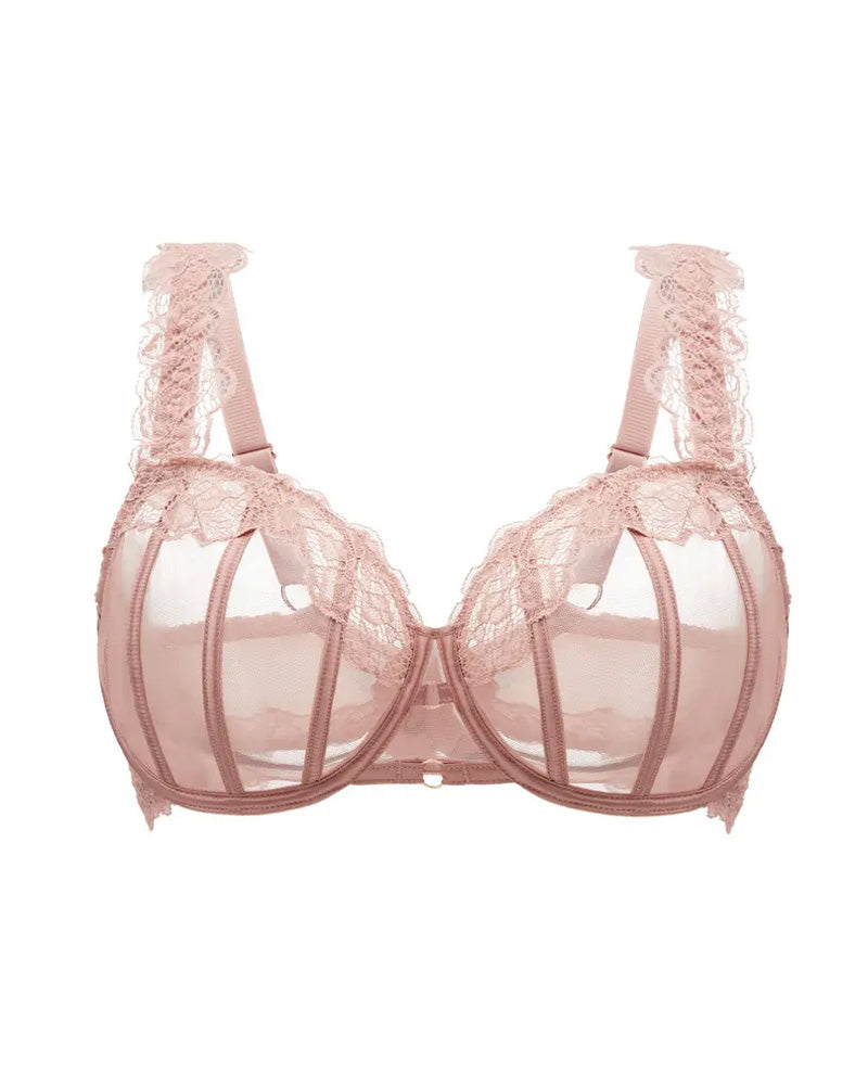 BustVera™ Spitzen-Push-up-BH – Bügelhalt, natürliche Anhebung & feminine Silhouette